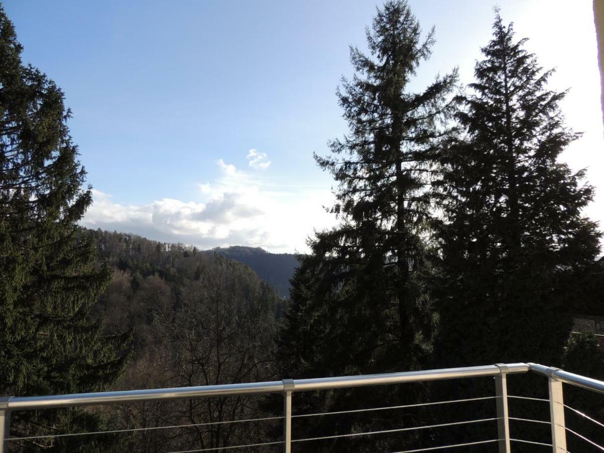 Gite Esperanza Spa Et Sauna Haselbourg Екстер'єр фото